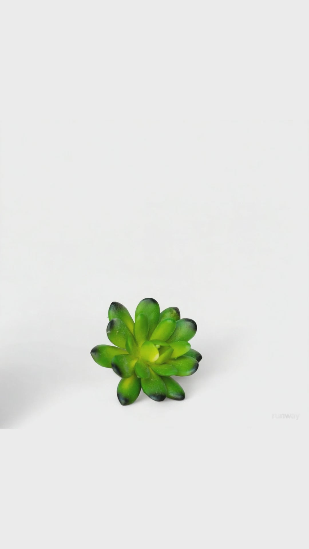 Hair Mask 18.2 fl. oz.